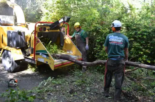 tree services Gibson City